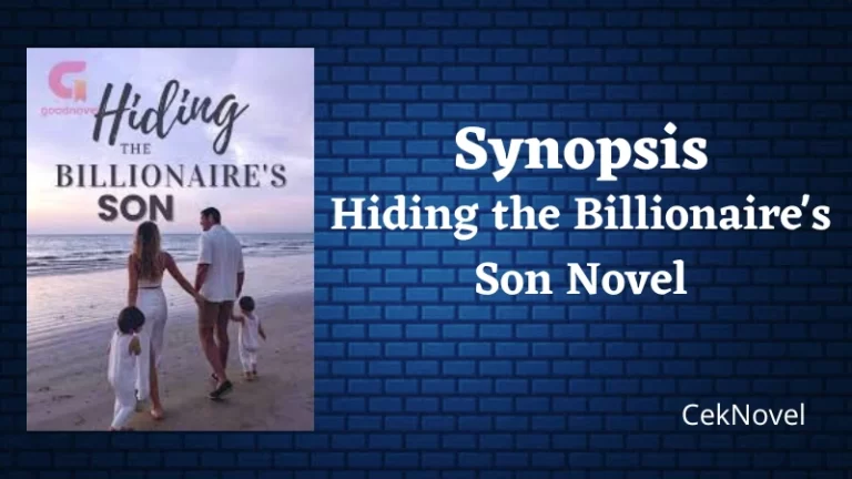 Hiding the Billionaires Son Novel