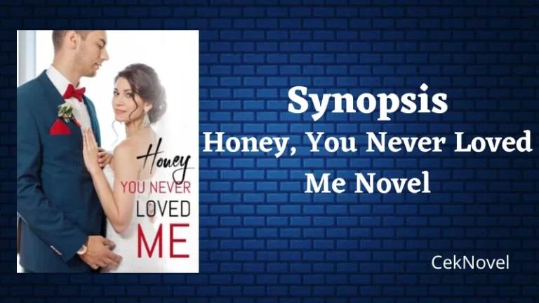 Honey You Never Loved Me Novel