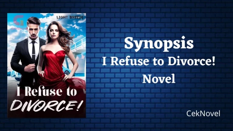 I Refuse to Divorce Novel