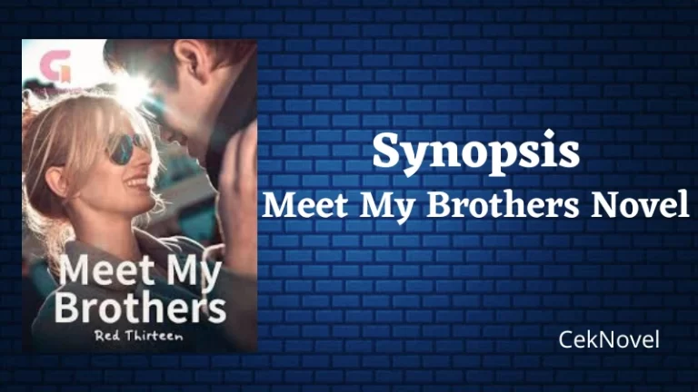 Meet My Brothers Novel