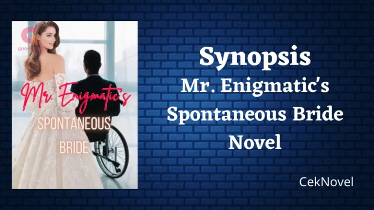 Mr. Enigmatics Spontaneous Bride Novel