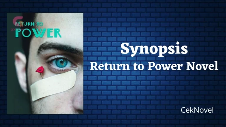 Return to Power Novel