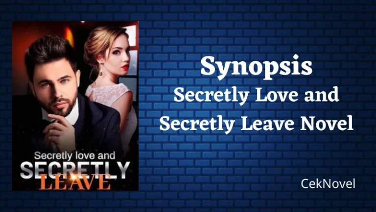 Secretly Love and Secretly Leave Novel