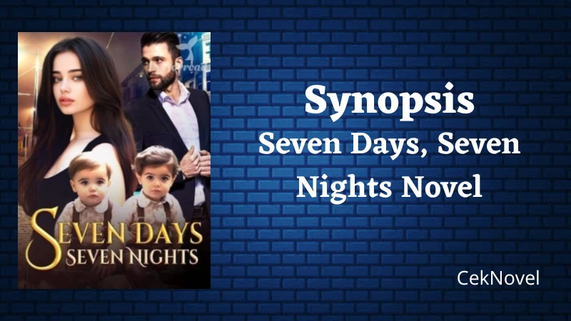 Seven Days Seven Nights Novel