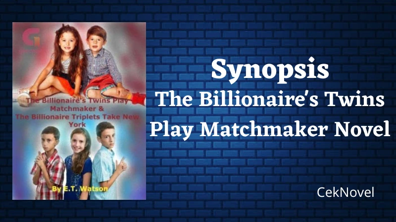 The Billionaires Twins Play Matchmaker Novel
