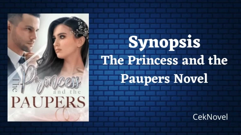 The Princess and the Paupers Novel