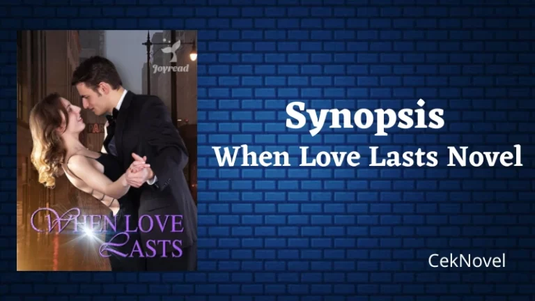 When Love Lasts Novel