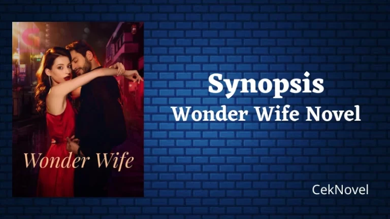 Wonder Wife Novel