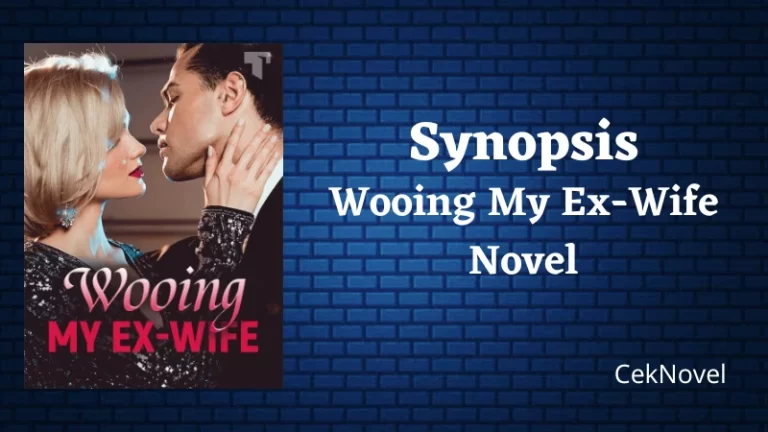 Wooing My Ex Wife Novel