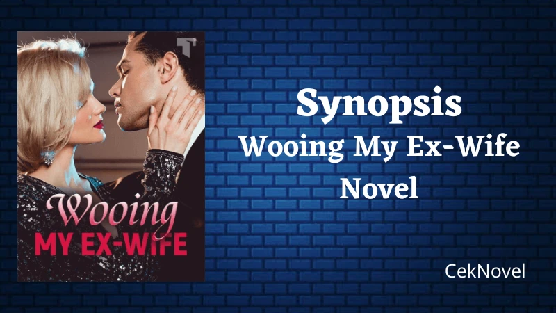 Wooing My Ex Wife Novel
