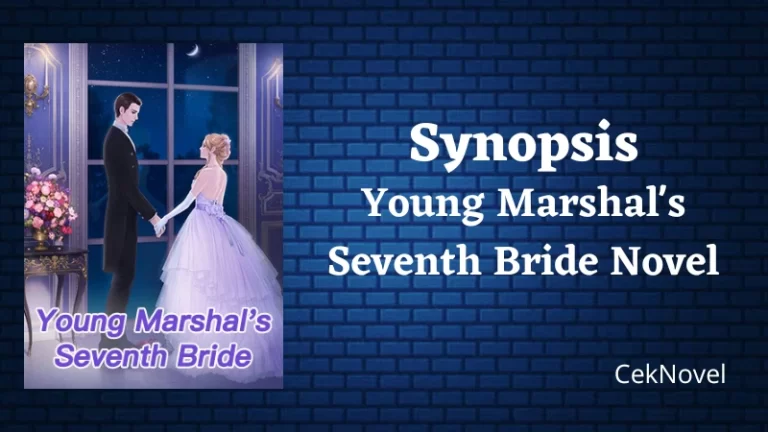 Young Marshals Seventh Bride Novel