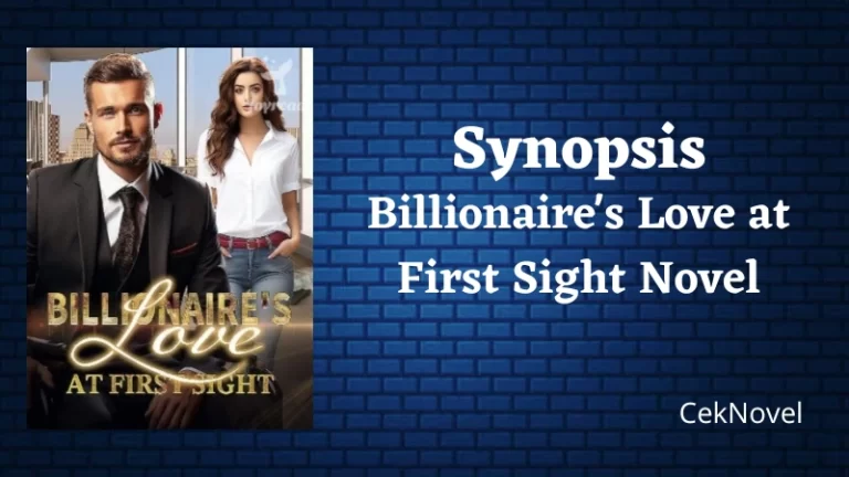 Billionaires Love at First Sight Novel