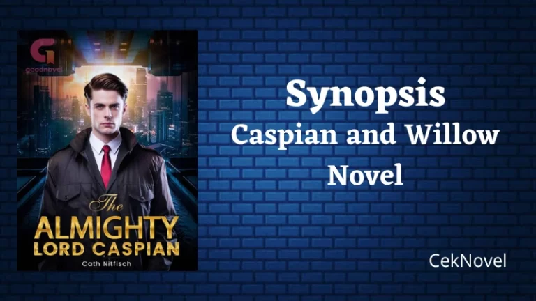 Caspian and Willow Novel