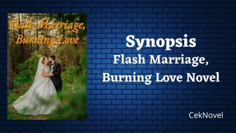 Flash Marriage Burning Love Novel