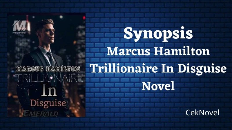 Hamilton Trillionaire In Disguise Novel