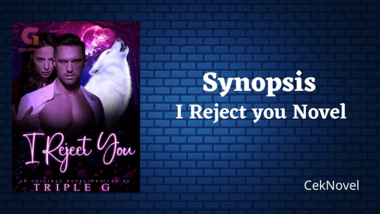 I Reject you Novel