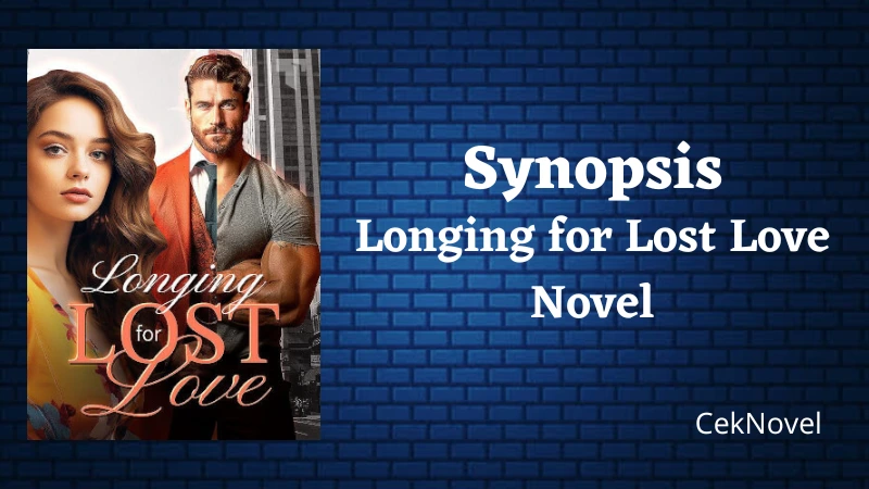 Longing for Lost Love Novel