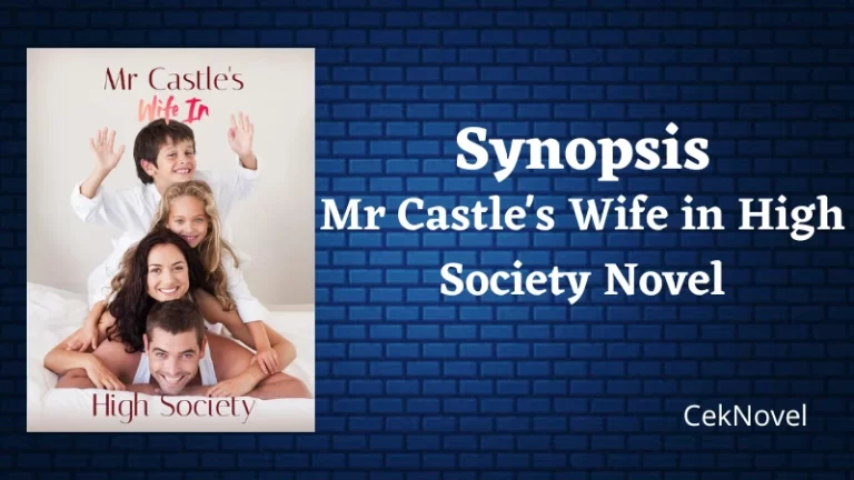 Mr Castles Wife in High Society Novel