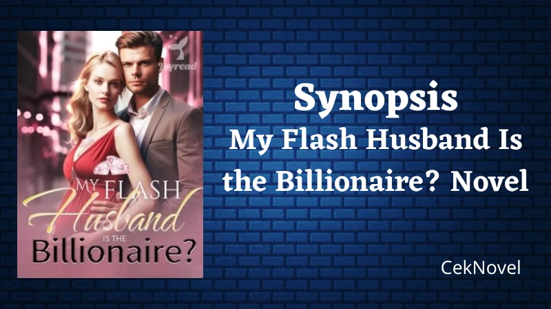 My Flash Husband Is the Billionaire