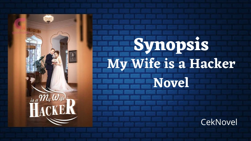 My Wife is a Hacker Novel