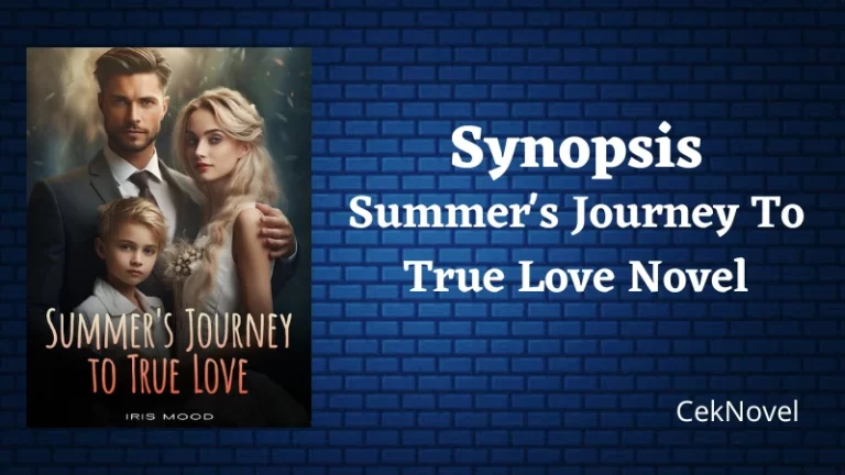 Summers Journey To True Love Novel