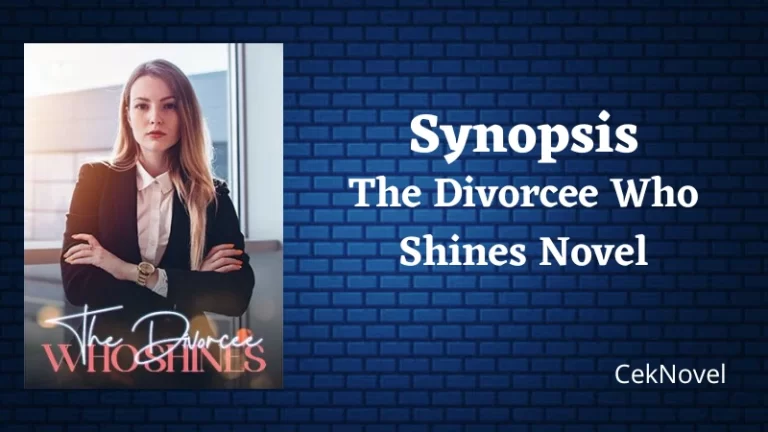 The Divorcee Who Shines Novel