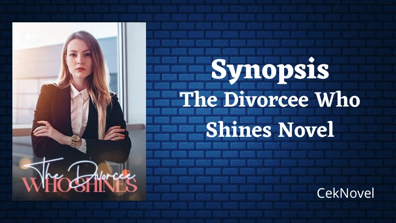 The Divorcee Who Shines Novel