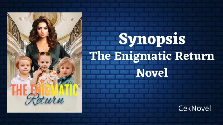 The Enigmatic Return Novel