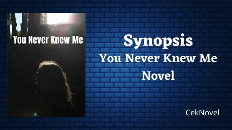 You Never Knew Me Novel