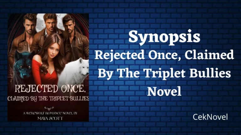 Claimed By The Triplet Bullies Novel