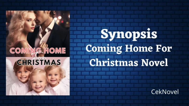 Coming Home For Christmas Novel