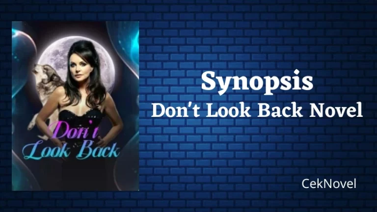Dont Look Back Novel