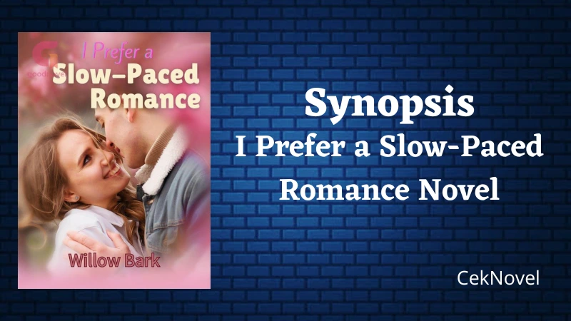 I Prefer a Slow Paced Romance Novel