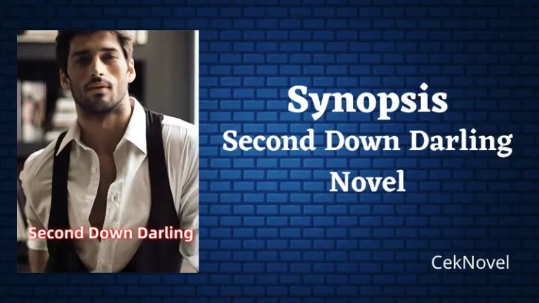 Second Down Darling Novel