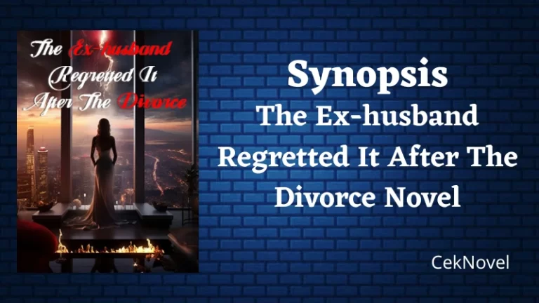 The Divorce Novel