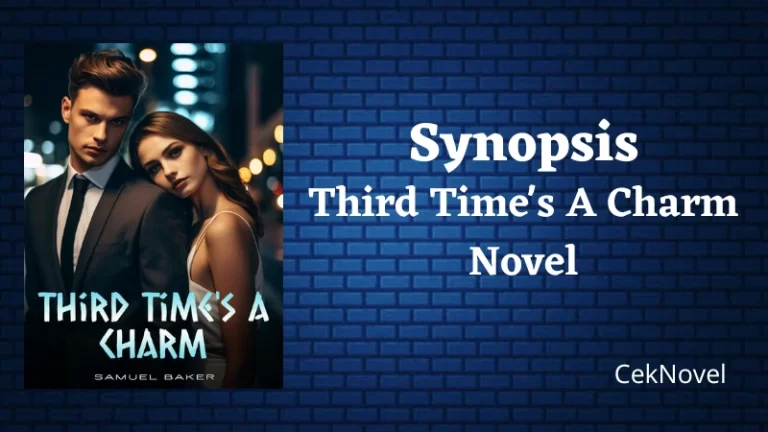 Third Times A Charm Novel