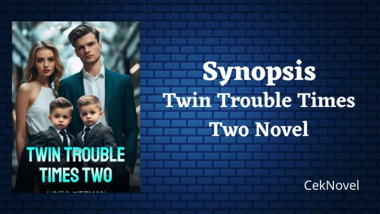 Twin Trouble Times Two Novel