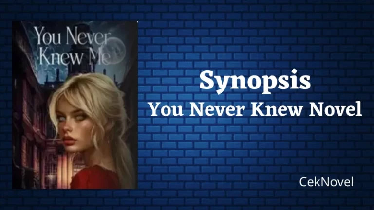 You Never Knew Novel