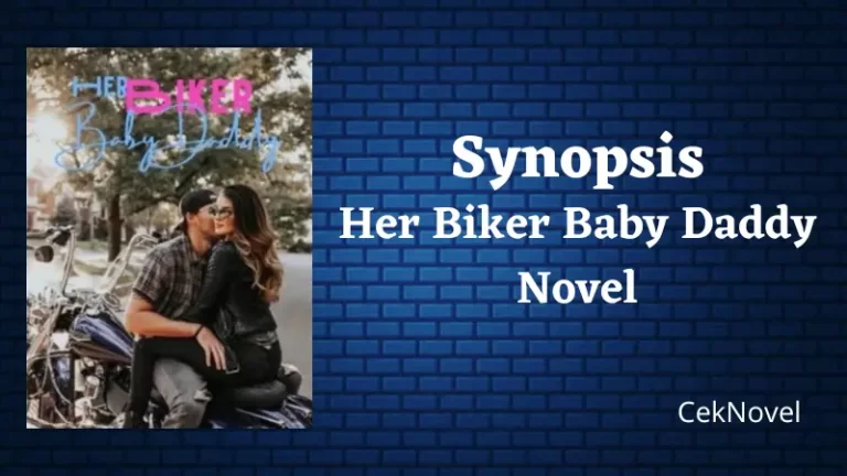 Her Biker Baby Daddy Novel