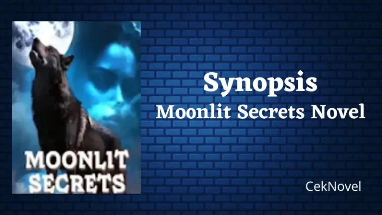 Moonlit Secrets Novel