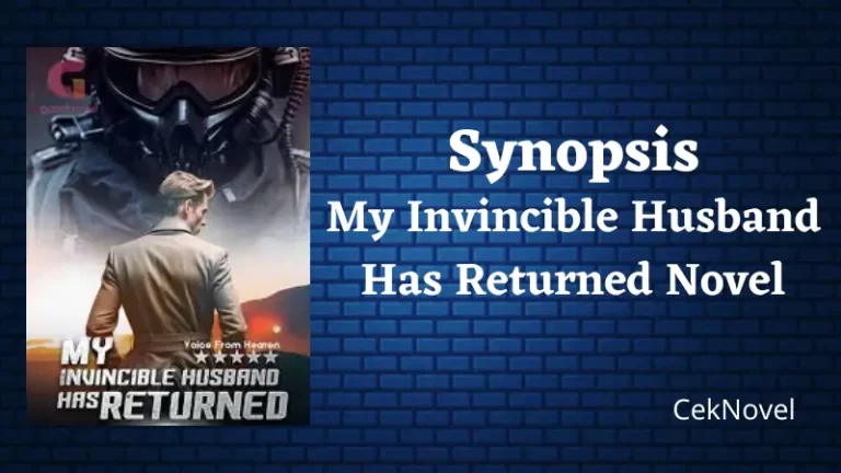 My Invincible Husband Has Returned Novel