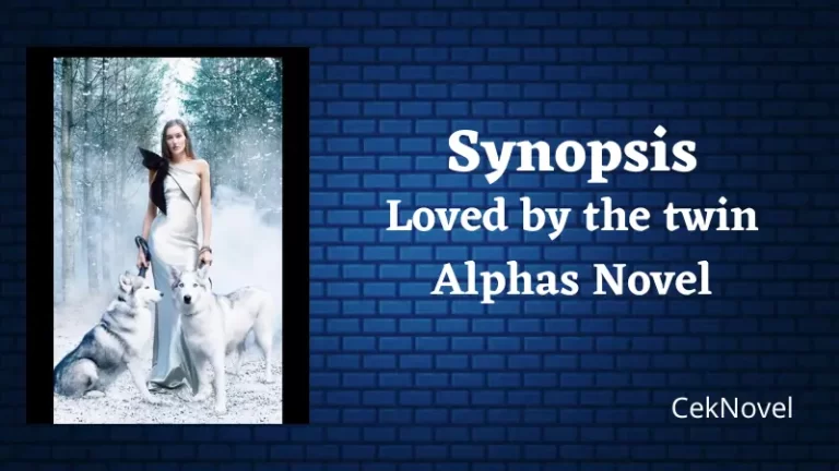 Loved by the twin Alphas Novel