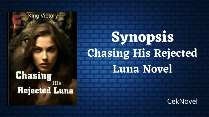 Chasing His Rejected Luna Novel